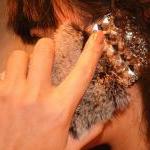 Warm Soft Fur Feather Crystal Iphone..